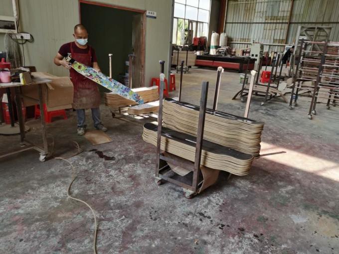 Estilo de moda Produtor de qualidade de alto padrão Patinador chinês barato adulto 10